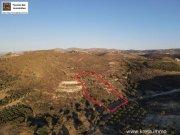 Neo Kalamaki Kreta, Kalamaki Baugrundstück 6.000m² purer kretischer Zauber. Grundstück kaufen